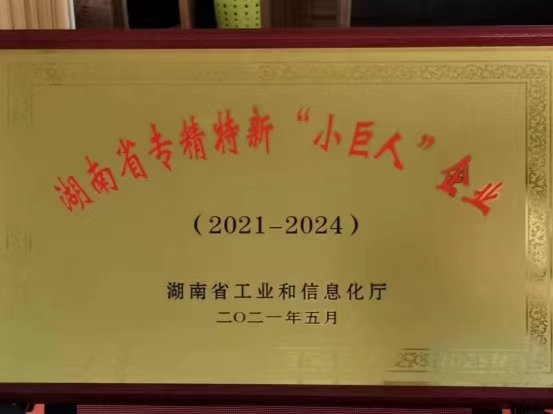 “小巨人”企業(yè)